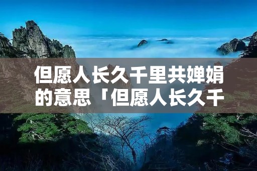 但愿人长久千里共婵娟的意思「但愿人长久千里共婵娟的意思是啥」