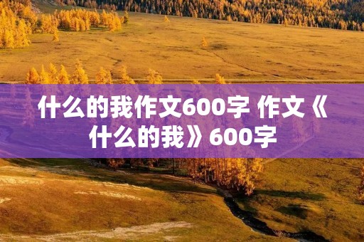 什么的我作文600字 作文《什么的我》600字