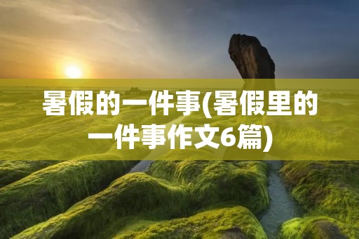 暑假的一件事(暑假里的一件事作文6篇)