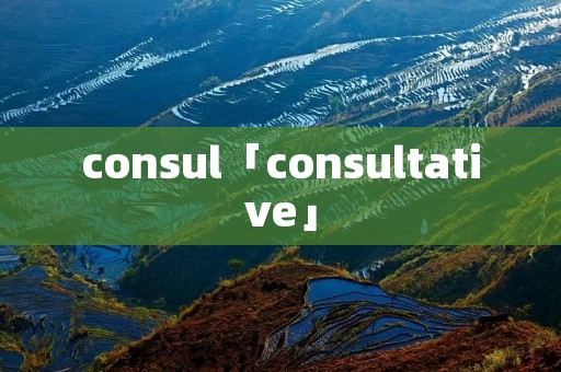 consul「consultative」 consul「consultative」