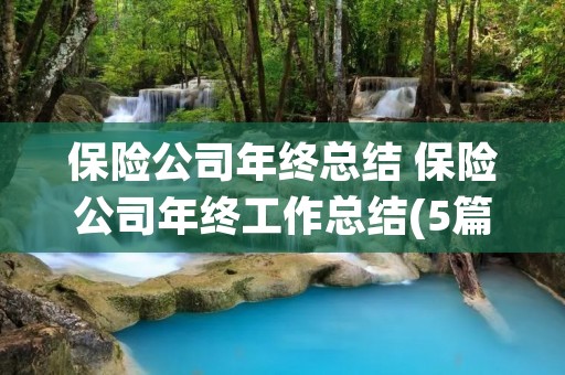 保险公司年终总结 保险公司年终工作总结(5篇)