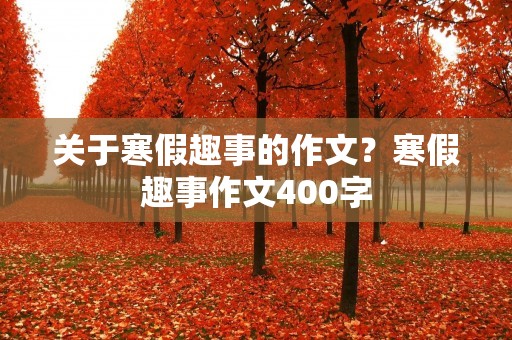 关于寒假趣事的作文?寒假趣事作文400字