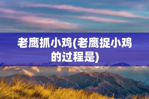 老鹰抓小鸡(老鹰捉小鸡的过程是)