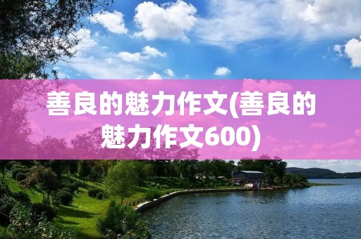 善良的魅力作文(善良的魅力作文600)