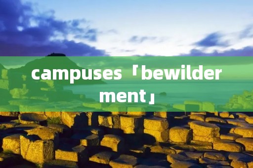 campuses「bewilderment」 campuses「bewilderment」