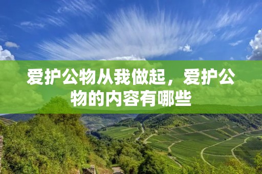 爱护公物从我做起，爱护公物的内容有哪些