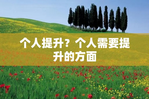 个人提升?个人需要提升的方面