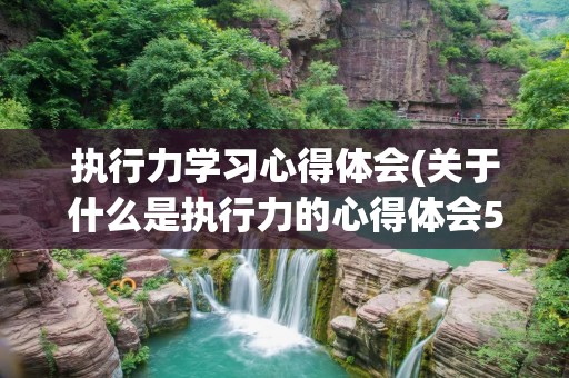 执行力学习心得体会(关于什么是执行力的心得体会500字)