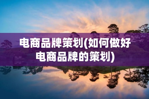 电商品牌策划(如何做好电商品牌的策划)