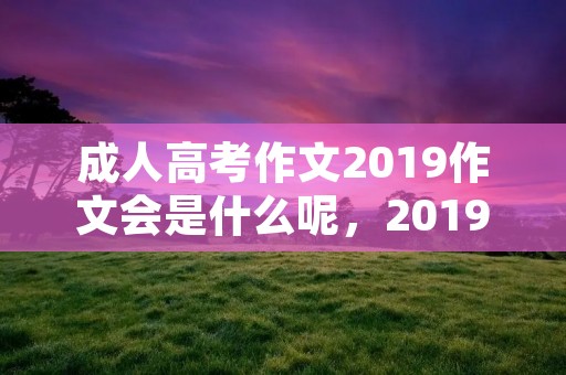 成人高考作文2019作文会是什么呢,2019年成人高考的作文是什么