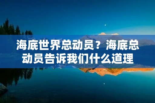 海底世界总动员？海底总动员告诉我们什么道理