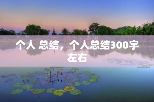 个人 总结,个人总结300字左右