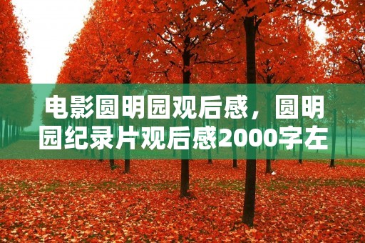 电影圆明园观后感,圆明园纪录片观后感2000字左右