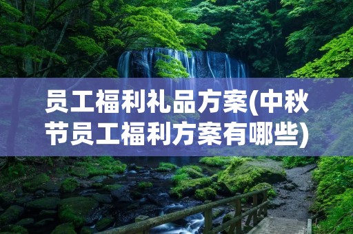 员工福利礼品方案(中秋节员工福利方案有哪些)