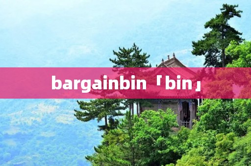 bargainbin「bin」 bargainbin「bin」