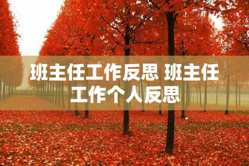 班主任工作反思 班主任工作个人反思