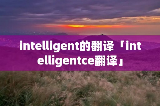 intelligent的翻译「intelligentce翻译」