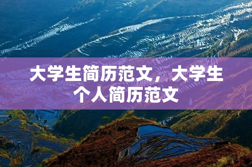 大学生简历范文,大学生个人简历范文