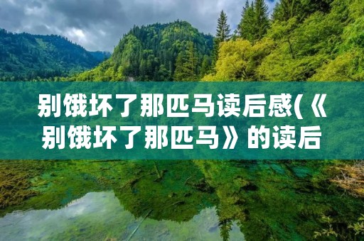 别饿坏了那匹马读后感(《别饿坏了那匹马》的读后感)