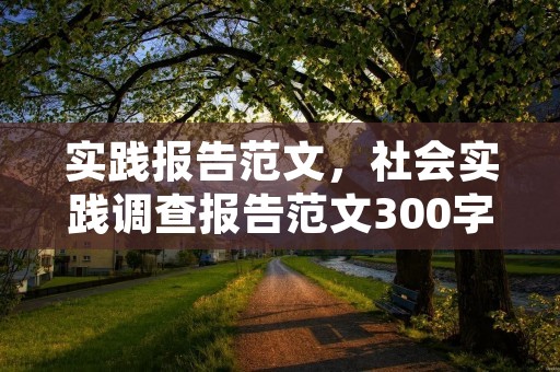 实践报告范文,社会实践调查报告范文300字6篇