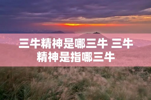 三牛精神是哪三牛 三牛精神是指哪三牛