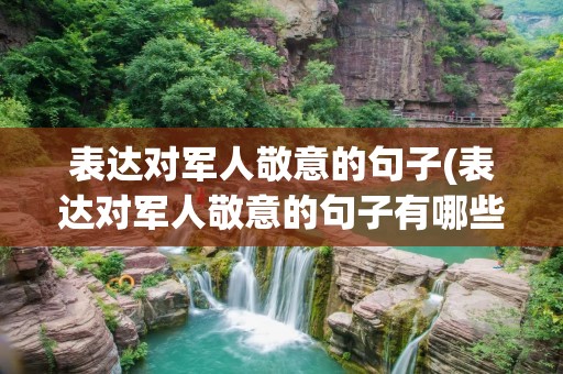 表达对军人敬意的句子(表达对军人敬意的句子有哪些)