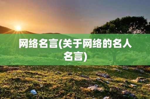 网络名言(关于网络的名人名言)