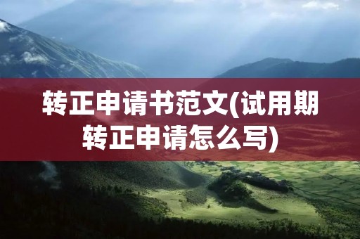 转正申请书范文(试用期转正申请怎么写)
