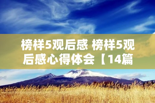 榜样5观后感 榜样5观后感心得体会【14篇】