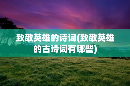 致敬英雄的诗词(致敬英雄的古诗词有哪些)