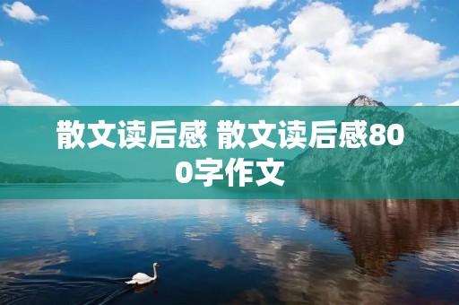 散文读后感 散文读后感800字作文