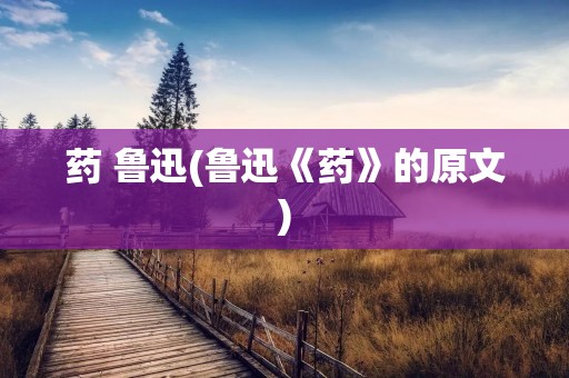 药 鲁迅(鲁迅《药》的原文)