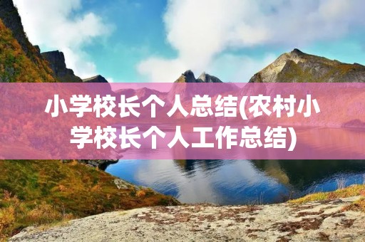 小学校长个人总结(农村小学校长个人工作总结)