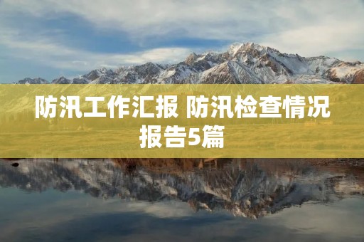防汛工作汇报 防汛检查情况报告5篇