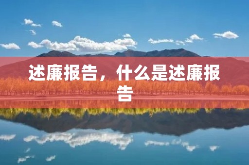 述廉报告,什么是述廉报告