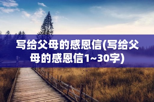 写给父母的感恩信(写给父母的感恩信1~30字)