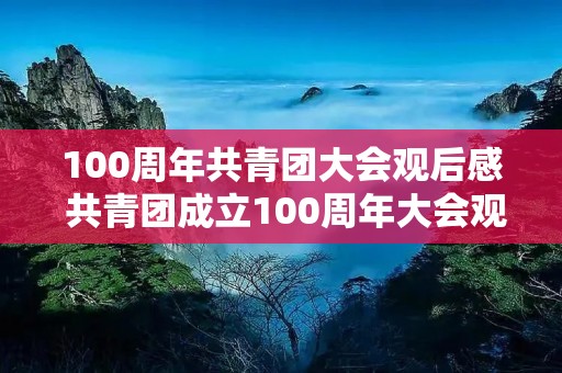 100周年共青团大会观后感 共青团成立100周年大会观后感600字