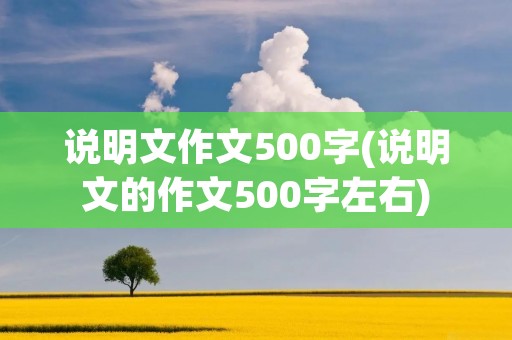 说明文作文500字(说明文的作文500字左右)