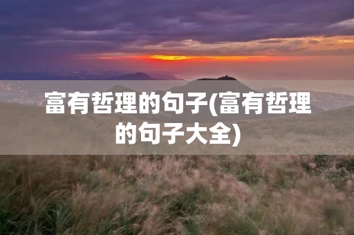 富有哲理的句子(富有哲理的句子大全)