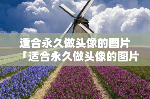 适合永久做头像的图片「适合永久做头像的图片唯美」