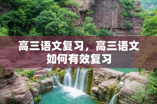 高三语文复习，高三语文如何有效复习