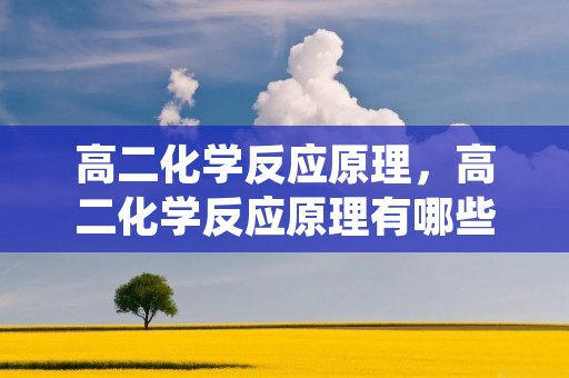 高二化学反应原理，高二化学反应原理有哪些