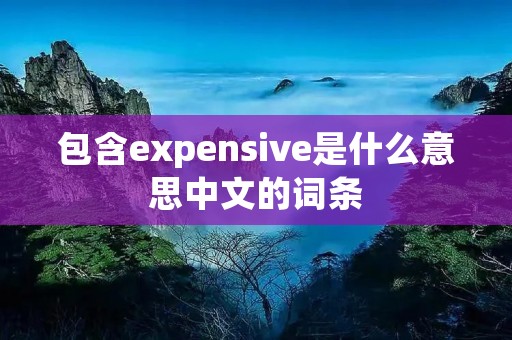 包含expensive是什么意思中文的词条