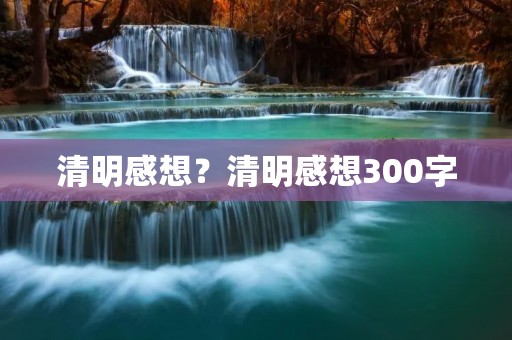 清明感想?清明感想300字