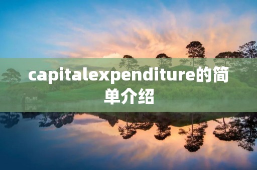 capitalexpenditure的简单介绍