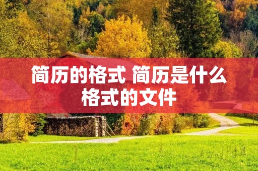 简历的格式 简历是什么格式的文件