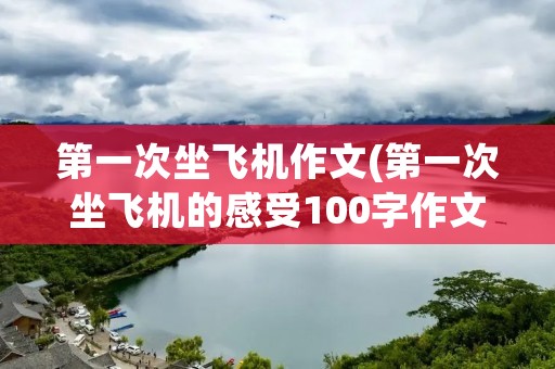 第一次坐飞机作文(第一次坐飞机的感受100字作文怎么写)