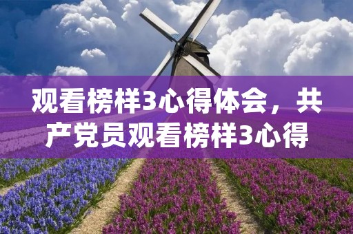 观看榜样3心得体会,共产党员观看榜样3心得体会(三篇)