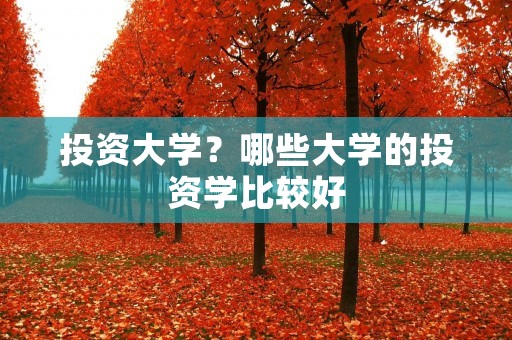 投资大学？哪些大学的投资学比较好