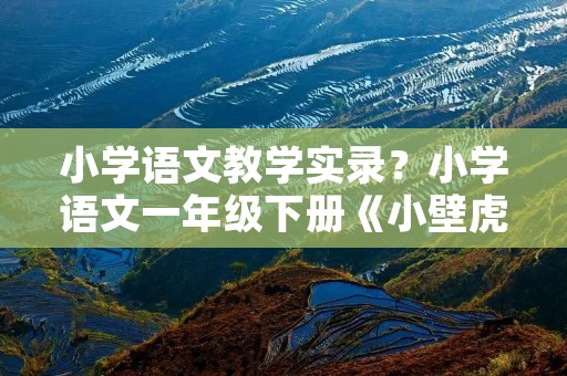 小学语文教学实录?小学语文一年级下册《小壁虎借尾巴》的教学实录及评析